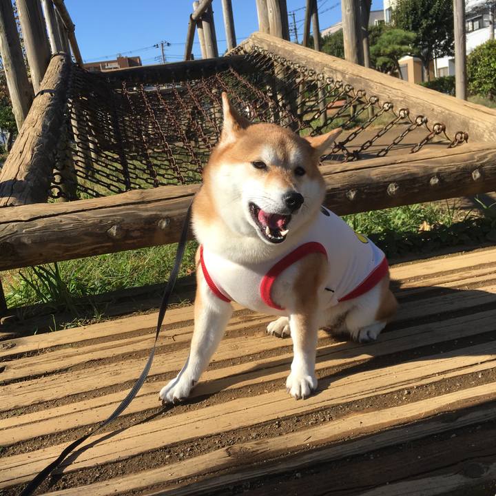 2b0f228f b176 47d0 8385 f50def49ff34 1540082908622