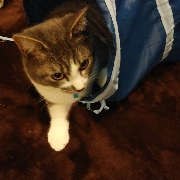 2b0f3af1 1935 49ee 91fa 4bdfeed1a976 1577189523504