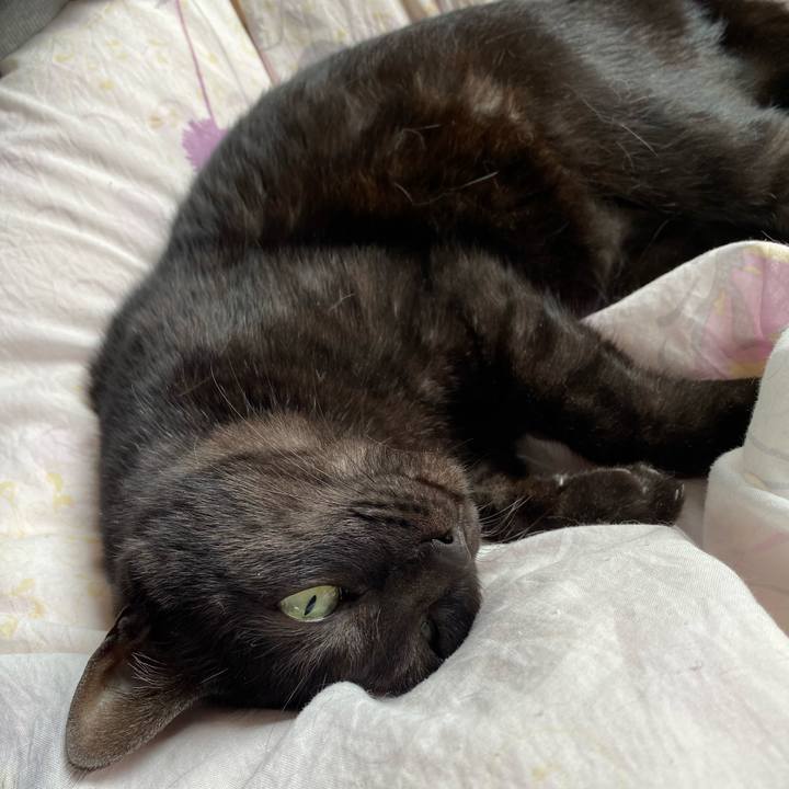 2b1008b1 2c98 4255 b409 8af87f20ab7e 1585300037283