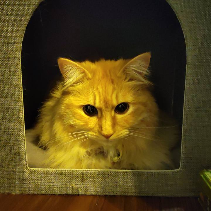 2b1029a0 11e5 4b6c 9709 6e62d0e611c3 1684421150409