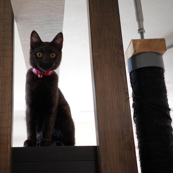 2b103345 c8a6 40e3 9a08 76fe43de485a 1512620419915