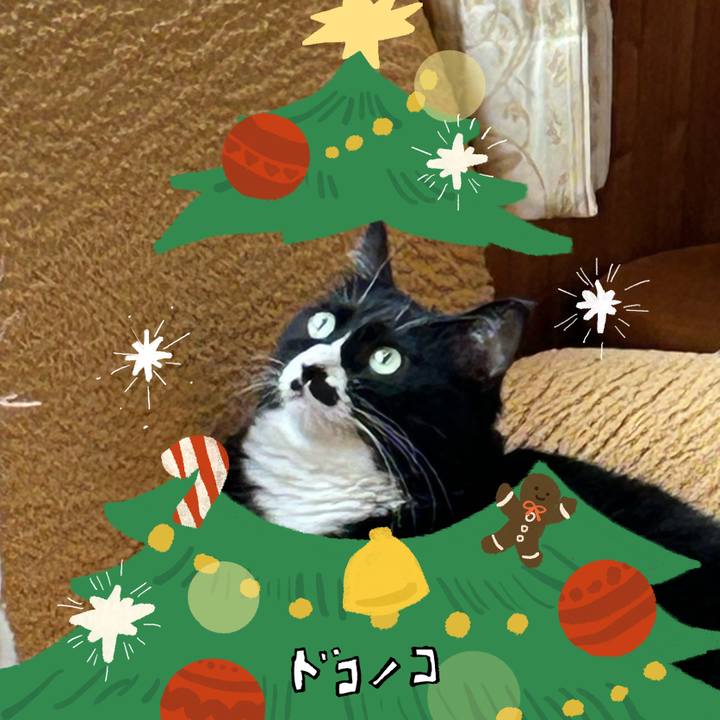 2b105bd4 f7b5 48d9 9a65 c70a4777ba4e 1761218250111