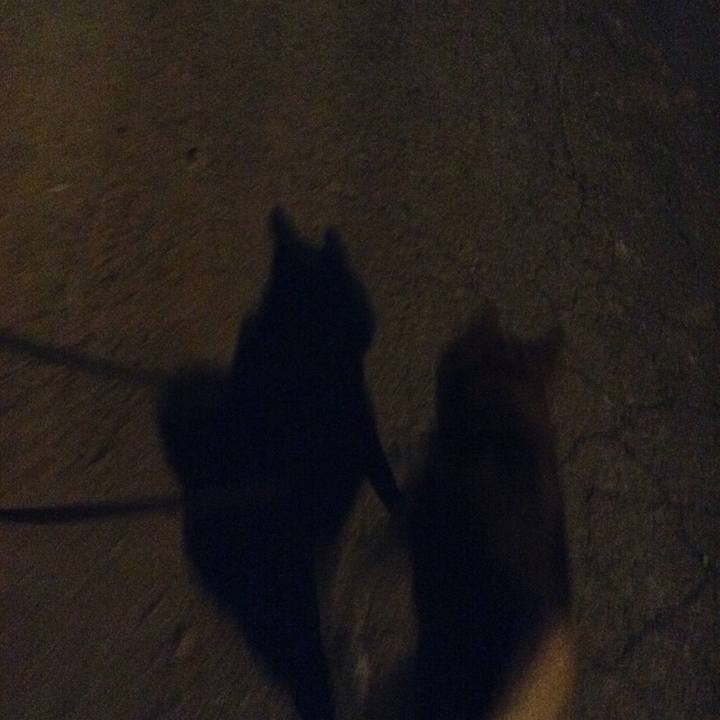 2b107f5f 6cf0 46d4 a4ba cd4ed64af6b2 1509095315209