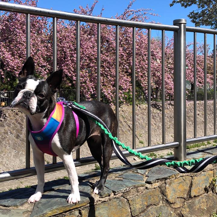 2b109140 1ff9 4ad7 8bf9 e4b675990e62 1587354533071