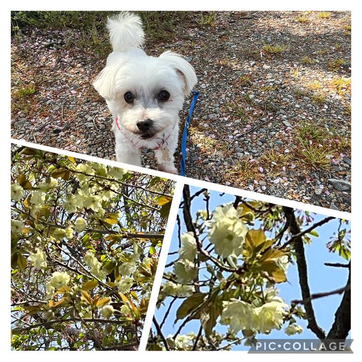 2b10916b 8797 4962 a2c7 edf5f63e4094 1649739713120