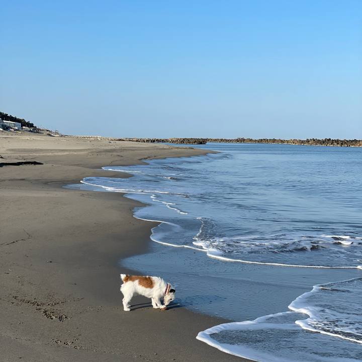 2b110995 8c2f 4986 a32d 55ce6a9686eb 1616539748108