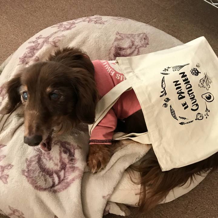 2b111a30 d795 4e27 9052 5435ef67a936 1520120505510