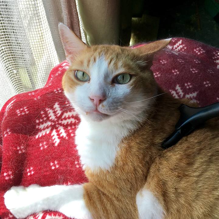 2b112c63 91c1 4625 ba18 2115348e1ac2 1597729818441