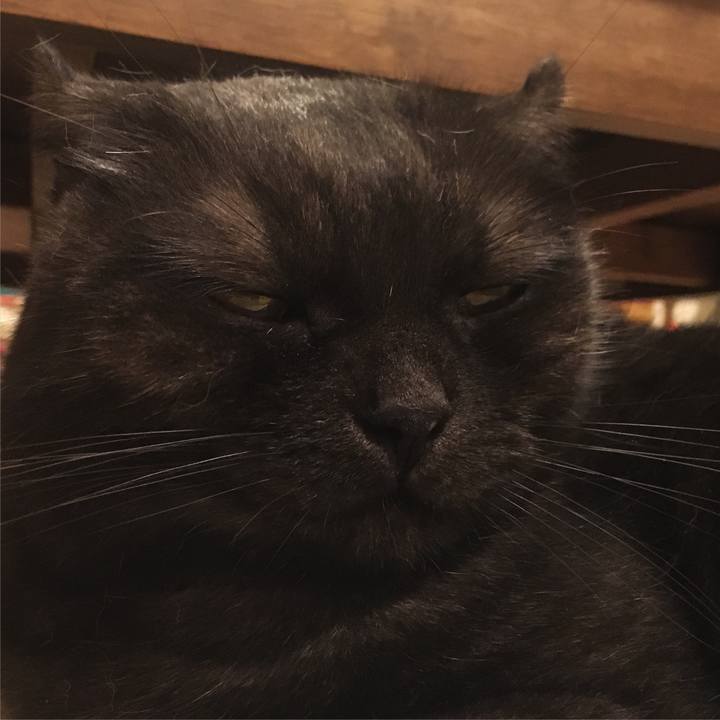 2b1153d3 9726 4104 8a8a 9c297bb812d0 1534681164879