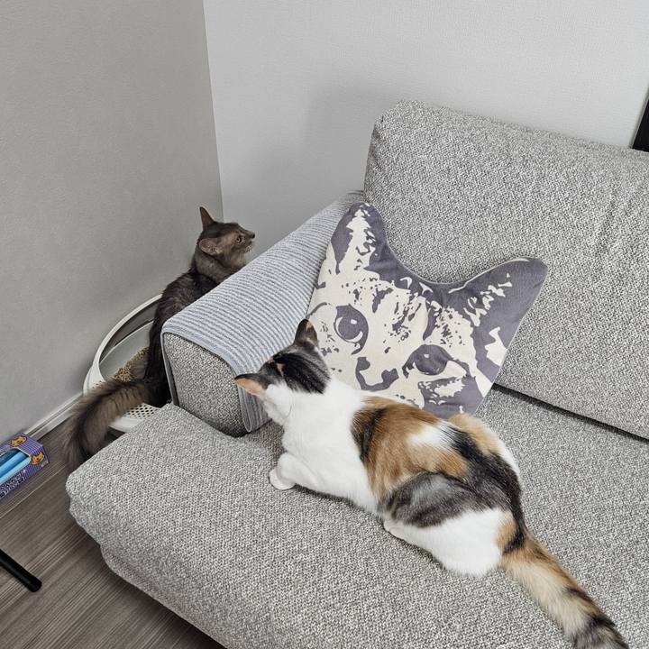 2b116e16 4afa 4a46 bb7b e6042dbf75a6 1752648253552