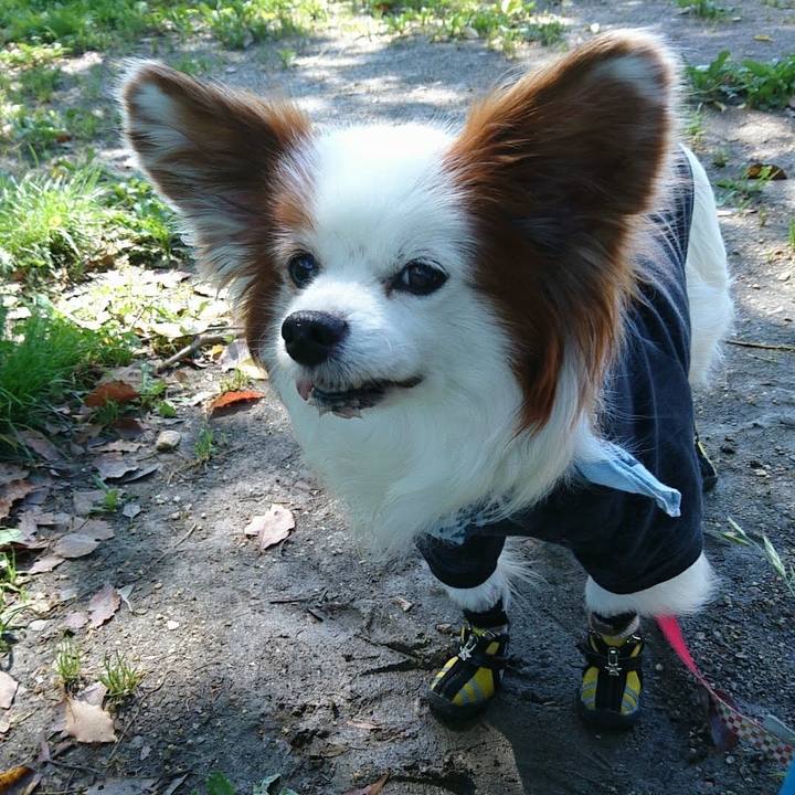 2b1170fc f02b 43e7 9677 ea1a00b9e49c 1763114127089