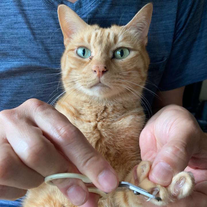 2b11719c 7fe2 42b1 b236 736f57965694 1747440227308