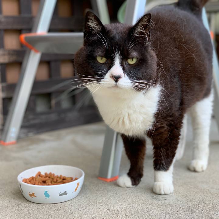 2b117e74 f1c6 48a4 bf69 8d1e472ddc32 1595801726869