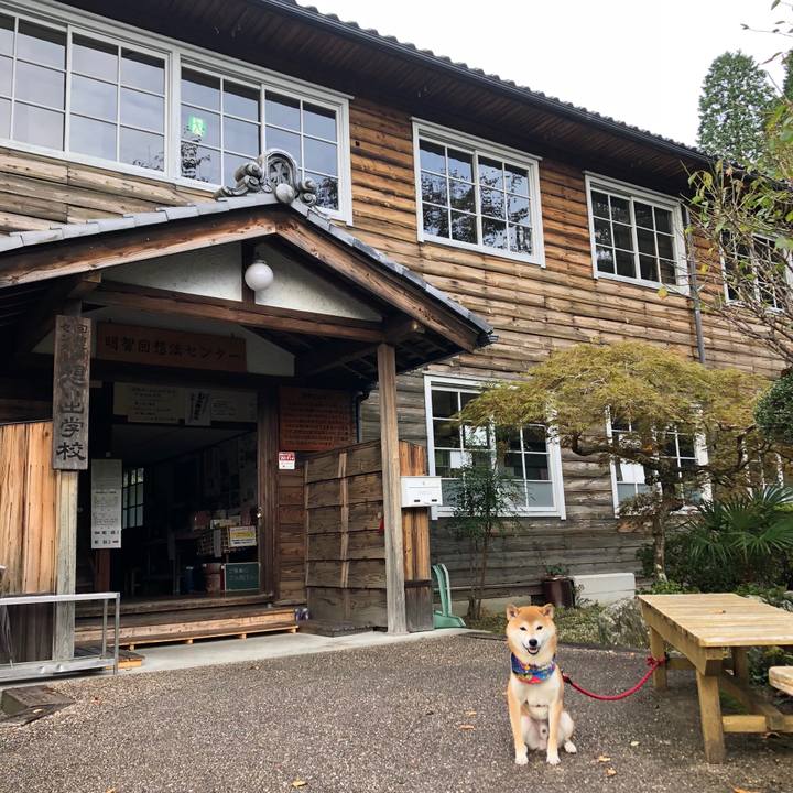 2b118564 b189 4ad7 8fed 53ea8d9a923d 1539517243800