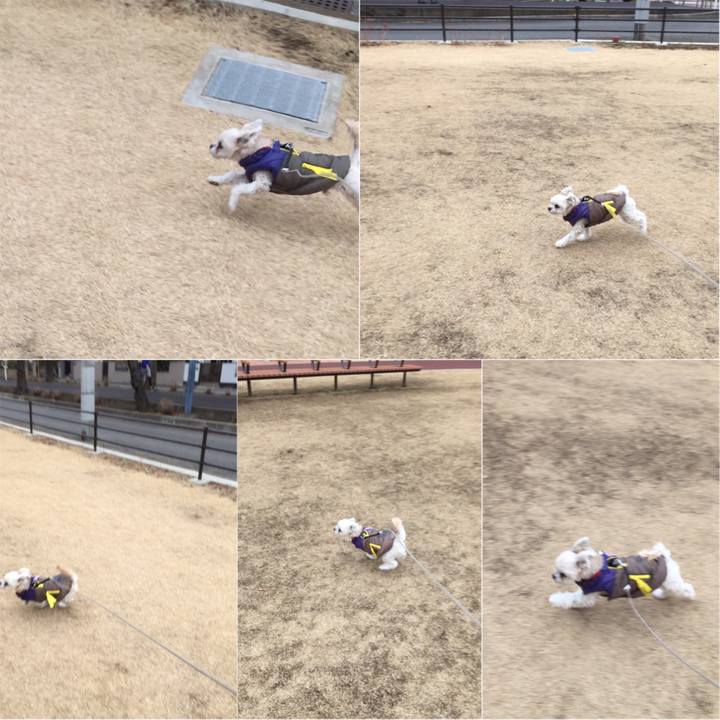 2b118e70 b958 40b5 a916 dabe1f954f70 1516437113804