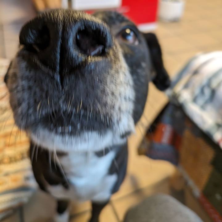 2b119770 d4fd 4729 b3d1 f6e7e2580537 1716855678544