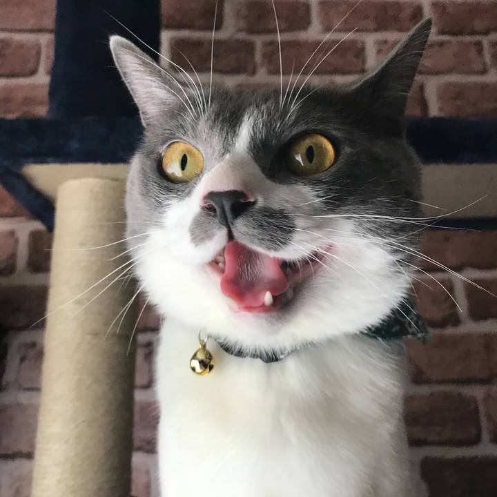 2b121a9d 82aa 4a84 99cd 7a7d870e9ef1 1745086891862