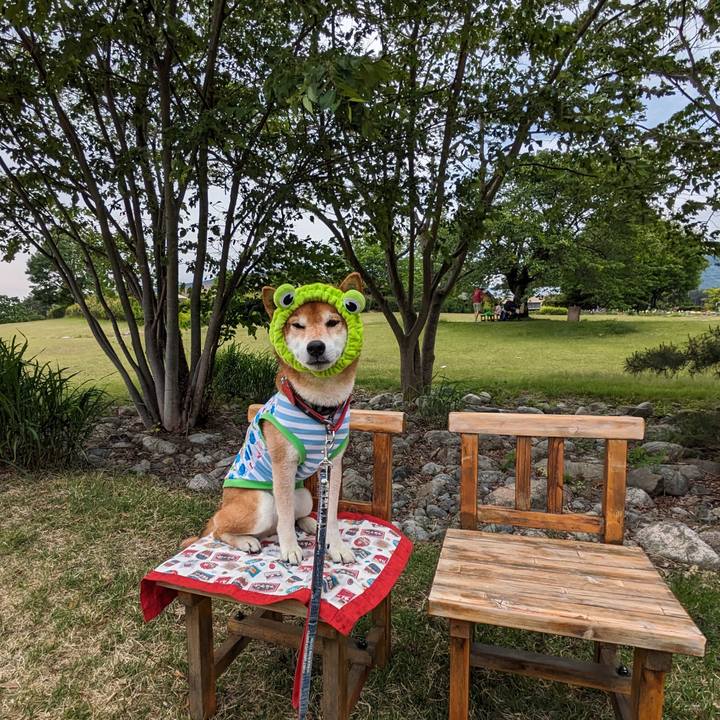 2b121ce8 eea6 48f2 9620 6327f561f495 1716765351749