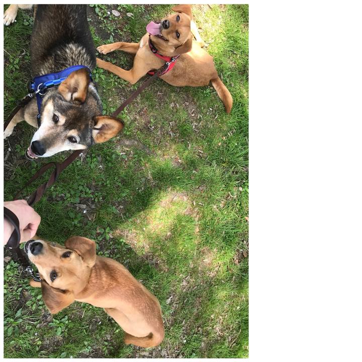 2b1247a0 ac15 4776 8feb 3191680fa778 1522806618141