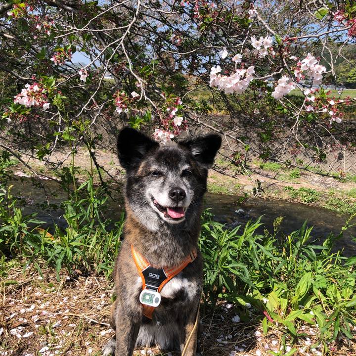 2b126778 0ee4 49ee b0fd 0ad90d11eb54 1682120298663