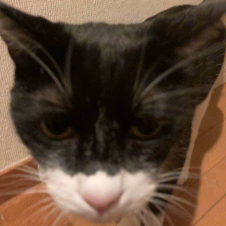 2b12ad2d 5cb5 4da7 ae64 21a7d2bec5f2 1634478923950