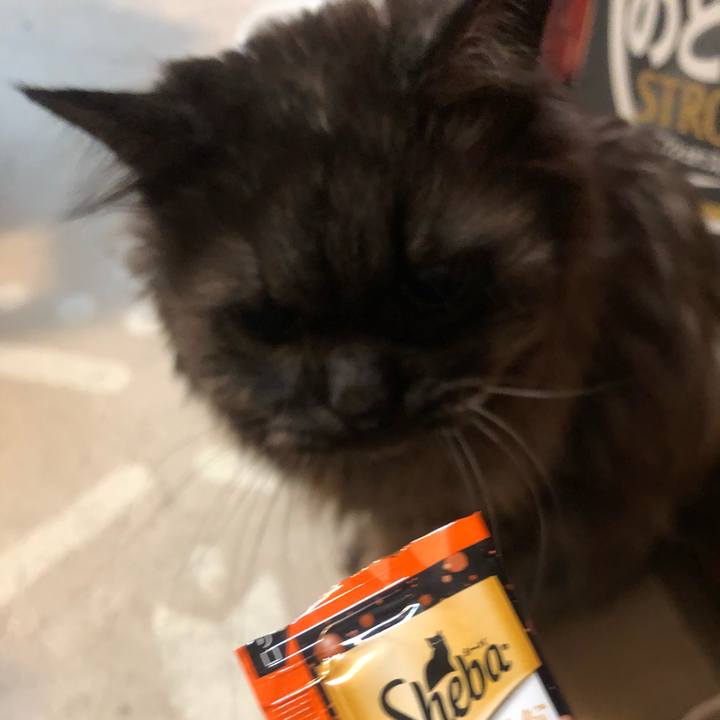 2b12ade6 2590 4592 a978 57c1152d0b75 1546897833068