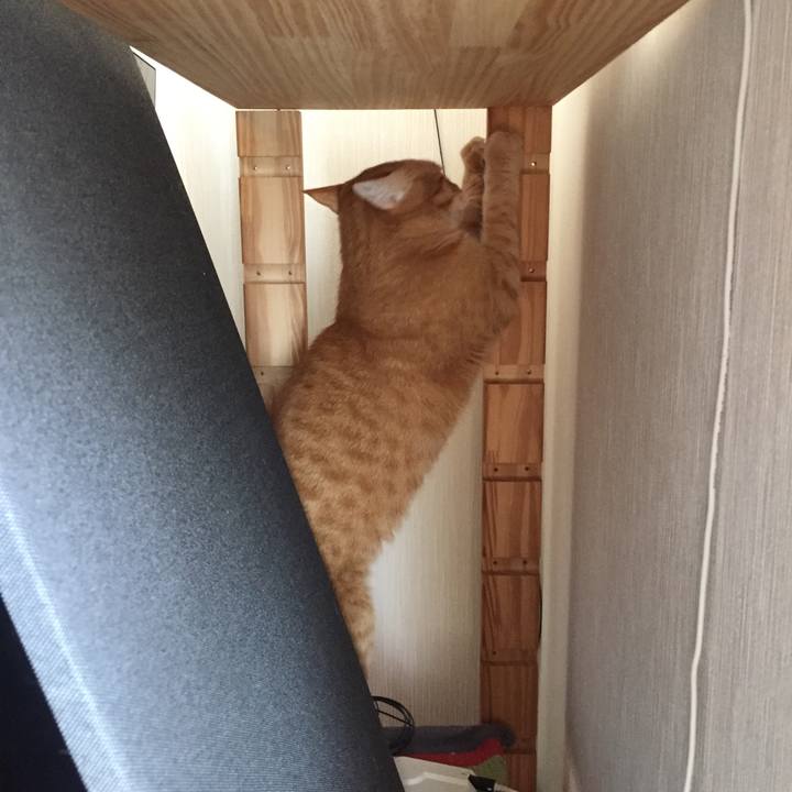 2b12d3b4 cb59 4393 b10b 5afcbed4bfd7 1520652511016