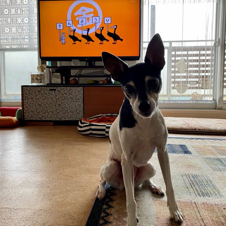 2b12e8f1 e004 49ff 8c7e 0362e1ab5fa0 1616710060354