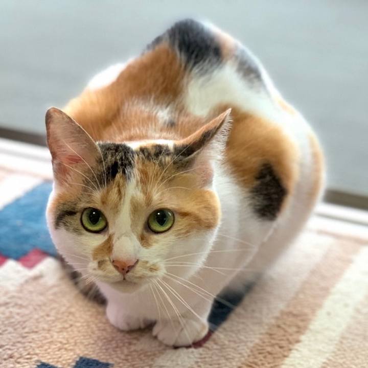 2b130b39 9655 4b53 8d2e 700c4c35970f 1658267069813