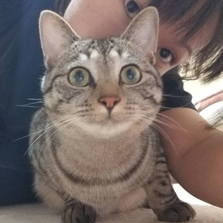 2b1311f1 3881 4f0a 96e3 b842328cc7b9 1689466985814