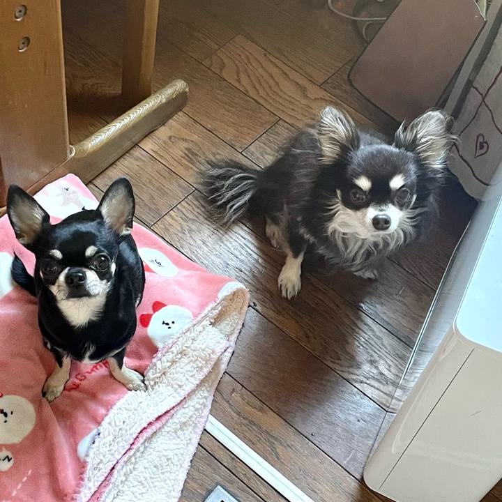 2b1315ce 5e2a 4e98 849d 8949c19ae980 1646028127414