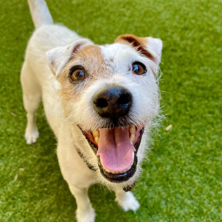 2b131ccf dd20 40ff 9055 2fbd235fcf22 1661900727869