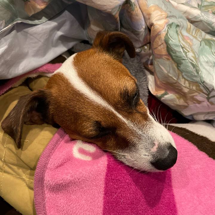 2b132687 183e 4c5a b64c db073e84c849 1645098461287