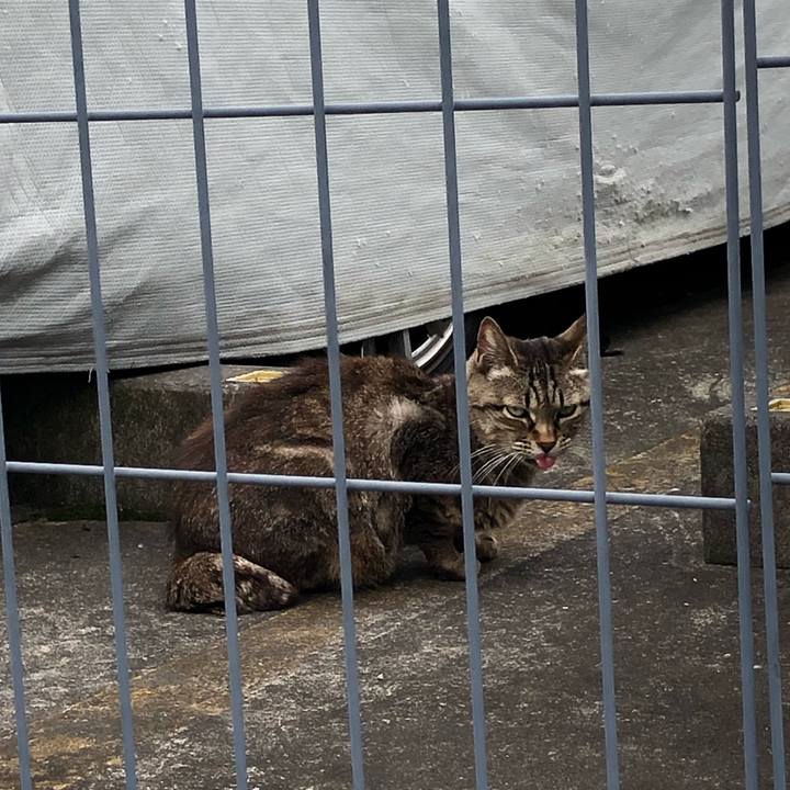 2b13722a 4860 4757 bb51 8fe1c55a0f6c 1563104650361