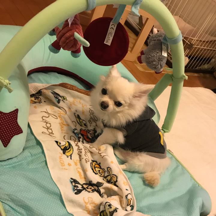 2b139383 62f7 4ae8 8c14 44aab1ace57b 1513152971582