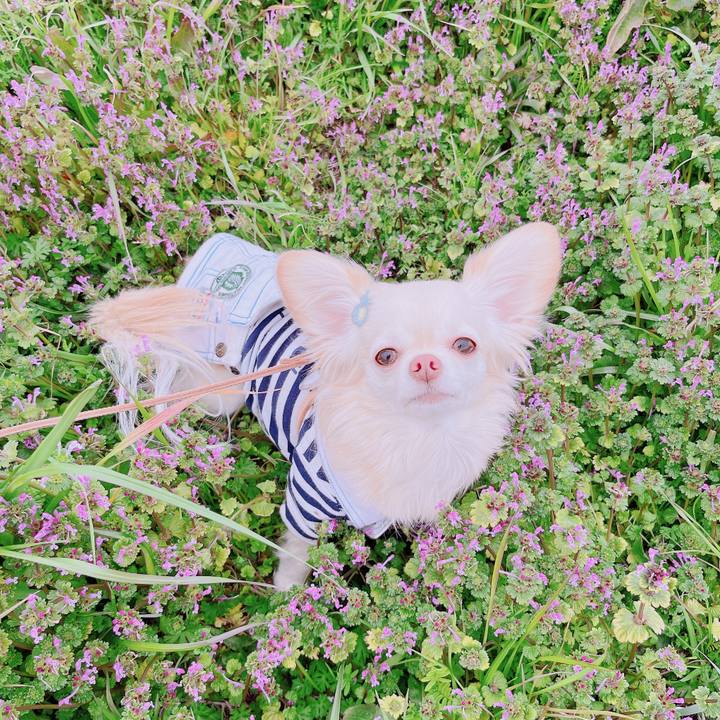 2b139596 1cb7 477e 8d12 331e7ae0af59 1677658800737