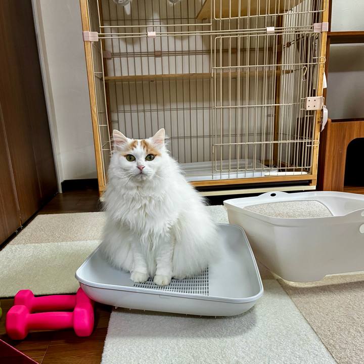 2b13b174 9fe7 45e1 8cb9 ee7d0ae5801d 1773632399866