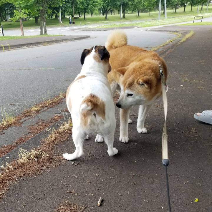 2b13bb44 dee8 41cc b33e c68429508fc3 1685257094396