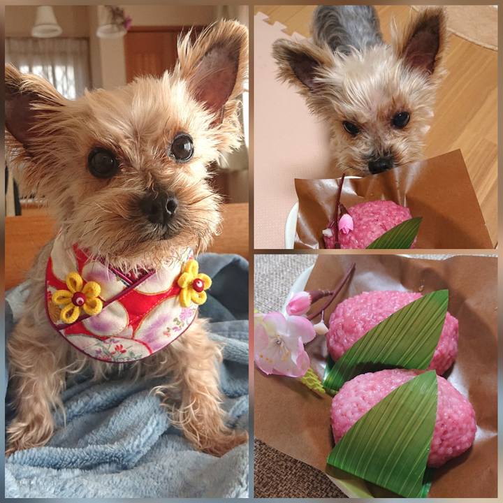 2b13c8fe 1637 4f7e 8063 c45eff5fe210 1614747580416