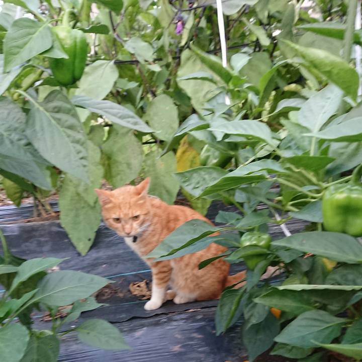 2b13d3cd 260a 47b9 8c04 d98c9fa1f18f 1568235633770