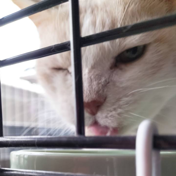 2b13e6b5 413b 47aa 93e7 710e6c042825 1712270026412