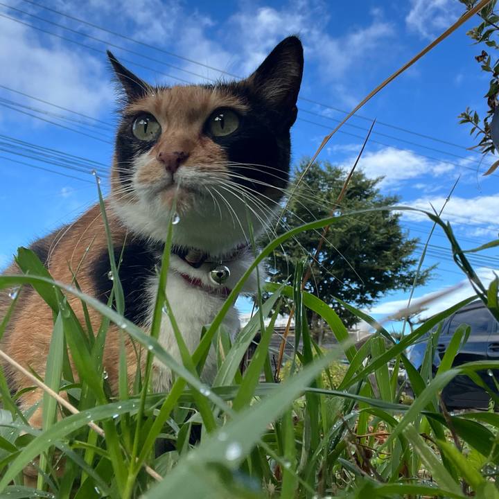 2b13f6ee 7ef8 4699 92bf 04e1adeedb62 1691965971611