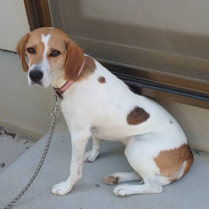 2b143311 2fca 44ed a500 b82fdd773994 1596198140252