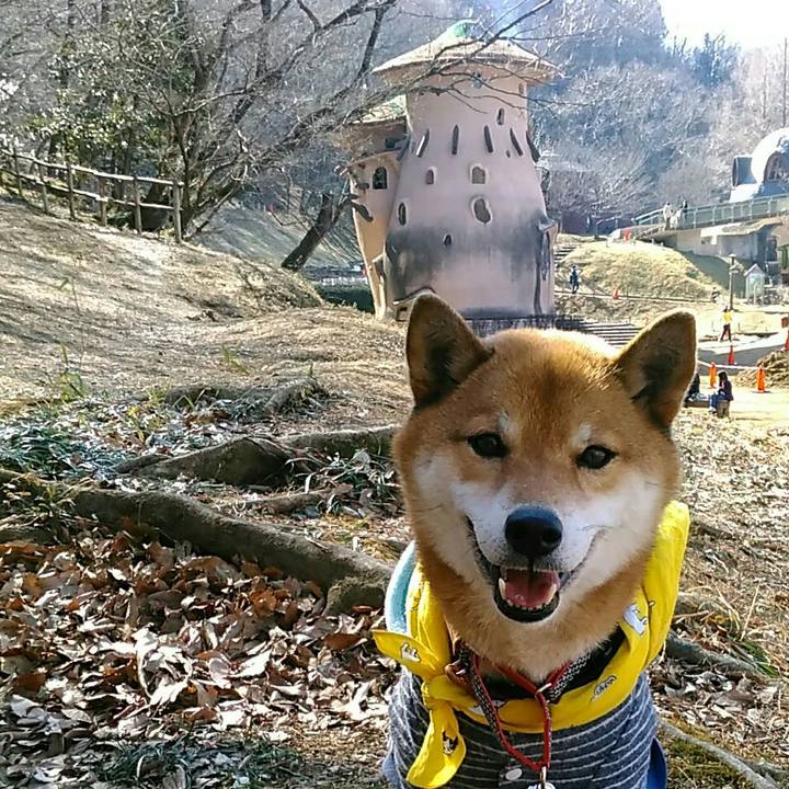 2b14791f f7a4 4dd2 9943 e60960bb0716 1549203800643