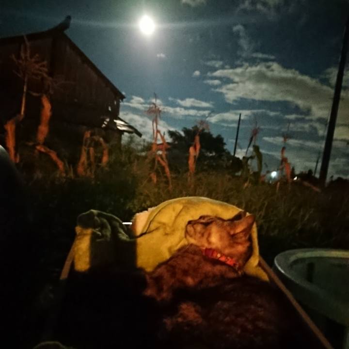 2b148031 2f23 43ba 8c82 3e897562a45a 1599050629159