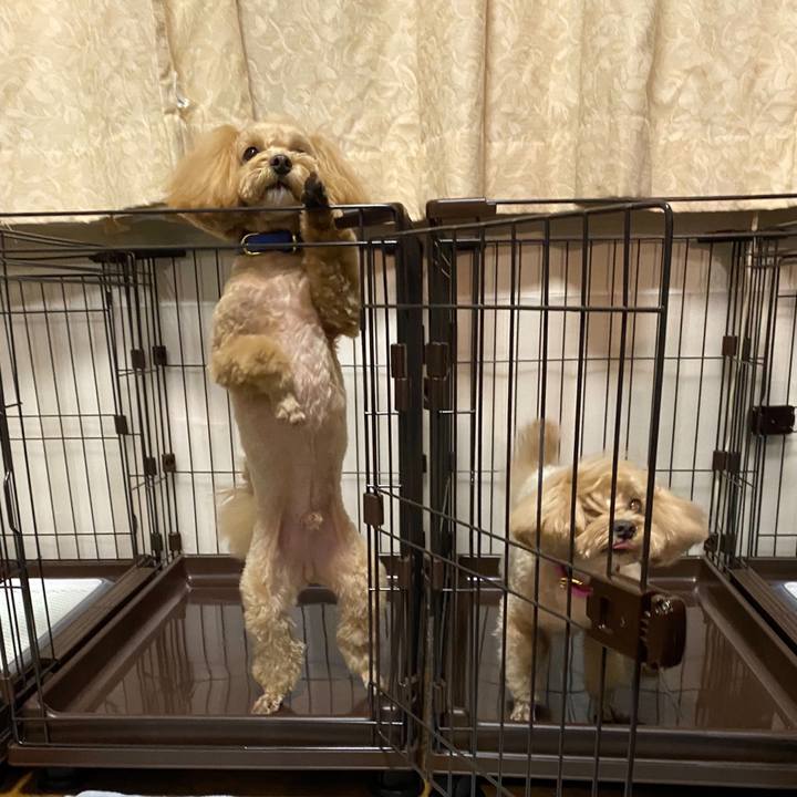 2b148683 6fe0 41ff ae0f f0c4dd518867 1668287906937