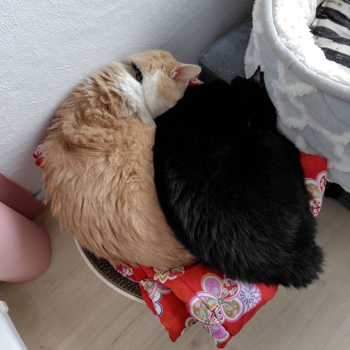 2b149ac3 2a72 4644 ac94 df1570d2626e 1731558750513