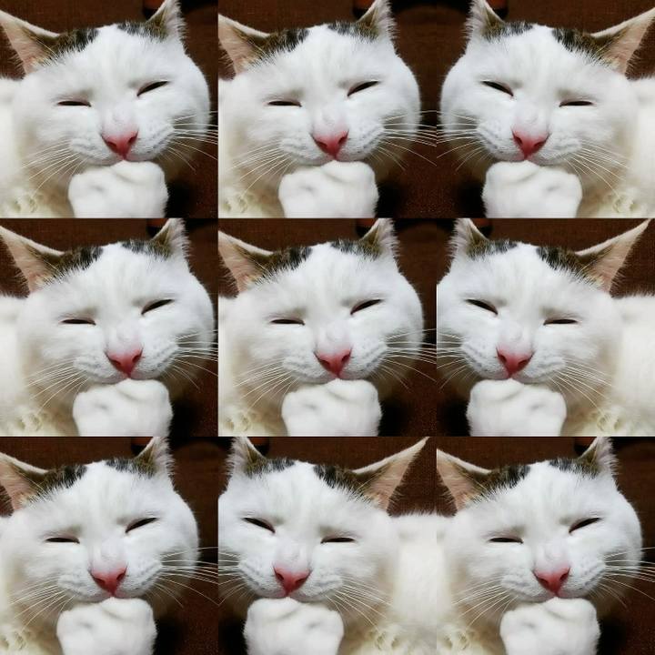 2b14ac97 1dd3 4175 be38 6c6a33999a10 1551973820615