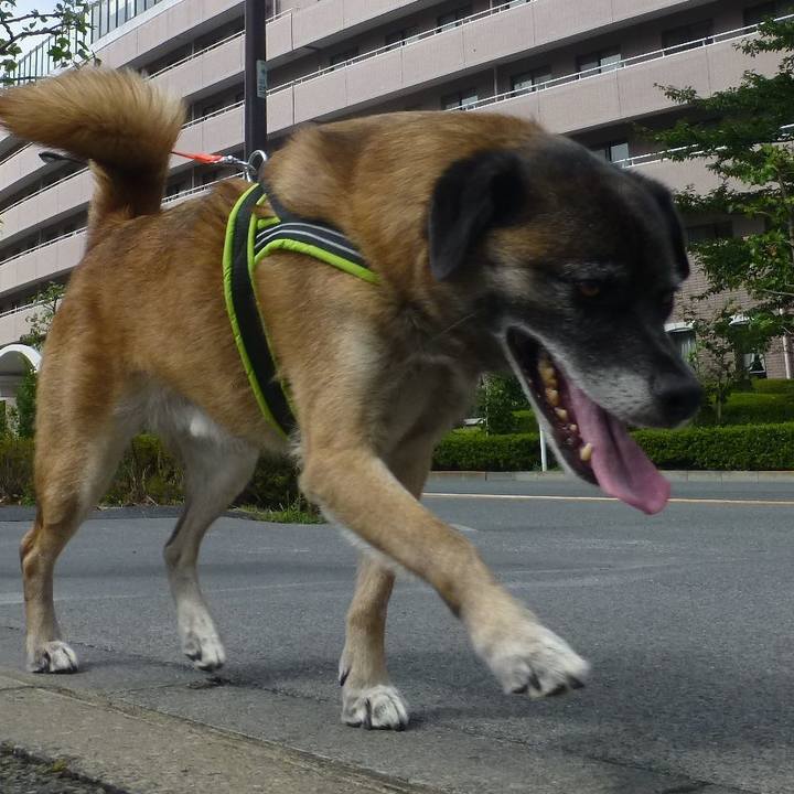 2b152042 bf7e 400a 81b8 cd902c3034b0 1580346883375