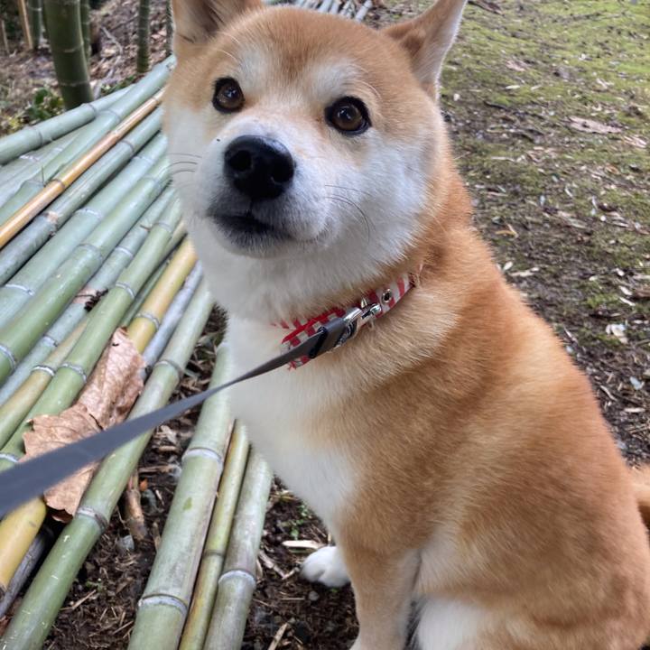 2b153fb9 6804 4919 8c3a 545222385d77 1647417175466